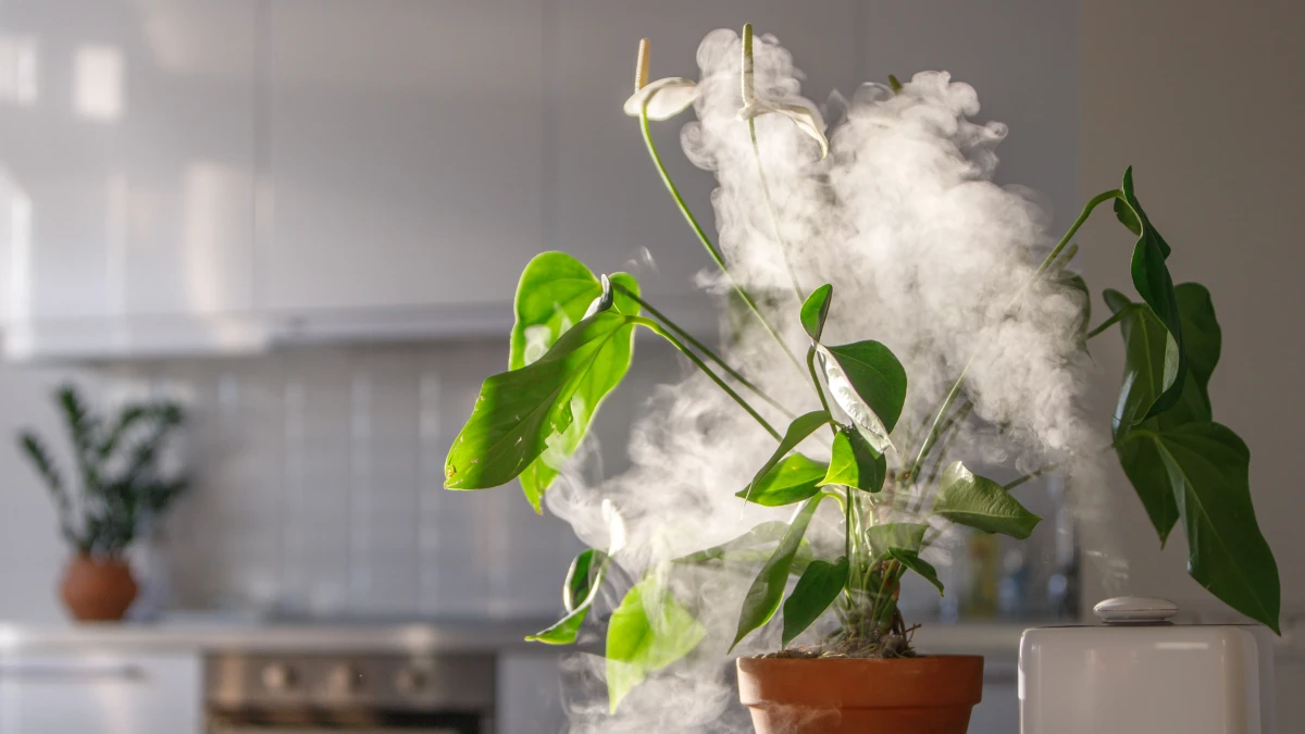 Humidité dans le logement : causes, conséquences et traitements