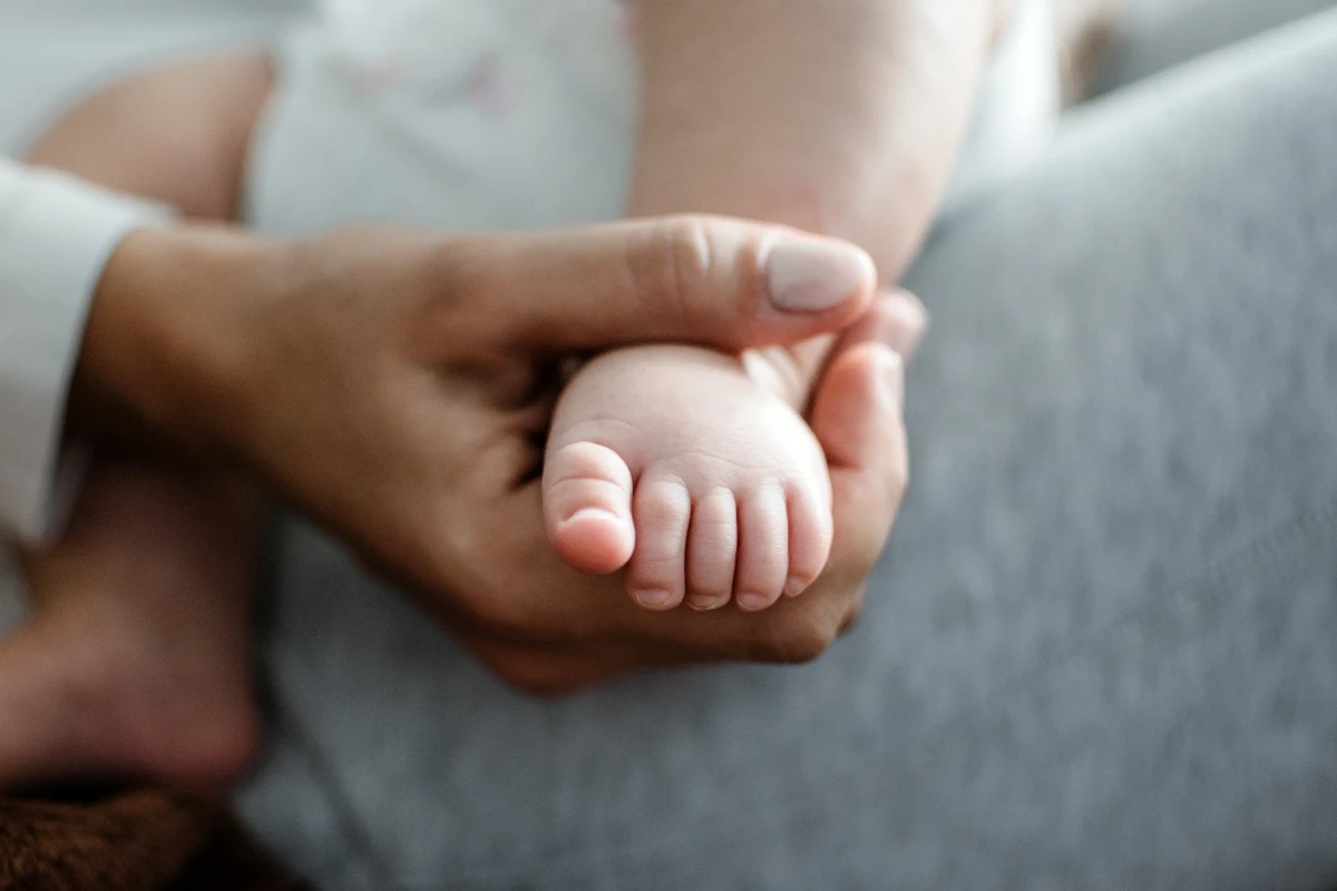 Assurance habitation : les clés pour comprendre et optimiser votre prime